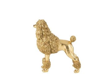 sculptuur, Verguld poedelbeeld – Decoratief kunstobject in, Nieuw