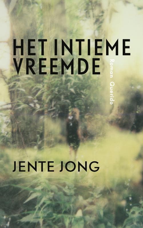 Het intieme vreemde 9789021407449 Jente Jong, Livres, Romans, Envoi