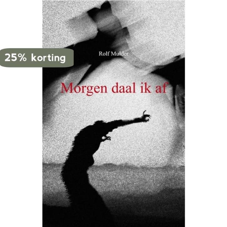 Morgen daal ik af 9789461930330 Rolf Mulder, Livres, Fantastique, Envoi