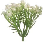 Gipskruid Cluster 10 cm Kunstbloem zak ca. 24 stuks, Nieuw