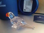 Swarovski - Figurine - Parrot - 294047 - Box + Certificate -, Antiquités & Art