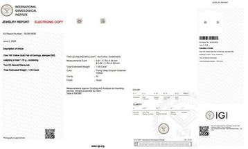 Sans prix de réserve - Boucles doreilles - 14 carats Or, Nieuw