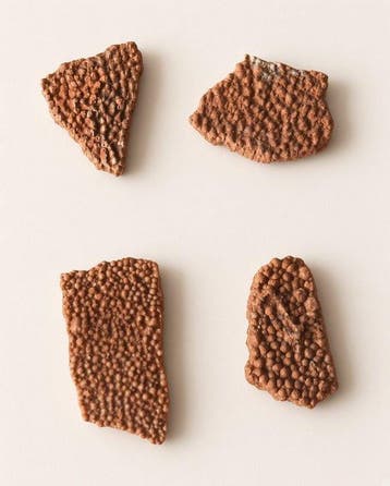 Dinosauruseierenschalen uit Frankrijk - Gefossiliseerd ei