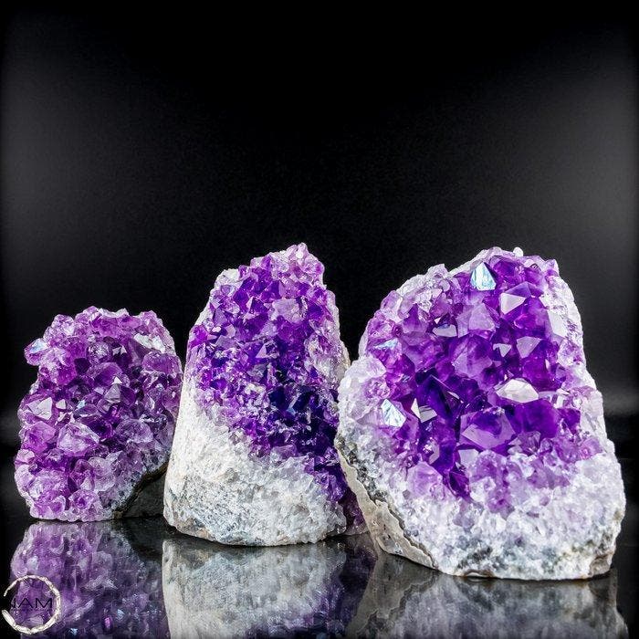 Exquisiet Amethyst-Drusen-Set – Drie natuurlijke, Collections, Minéraux & Fossiles