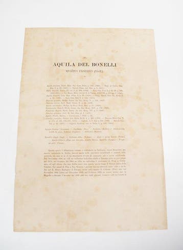 Giglioli/Manzella - Iconografia della Avifauna Italica N.