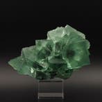 Fluorite verte, cubes croisés avec des fantômes, esthétique