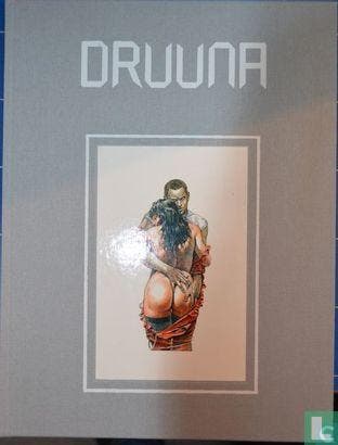 Druuna - 1990, Boeken, Stripverhalen, Eén stripboek, Verzenden, Zo goed als nieuw, Serpieri, Paolo Eleuteri.
