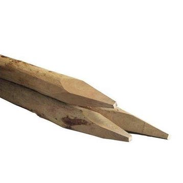 Robinia ronde paal 10-12cm 200cm, Verzenden, Nieuw