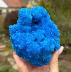 AUCUNE ENCHÈRE ! 292 g ÉTONNANTE CHALCANTHITE BLEU