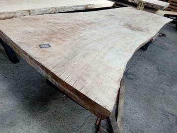 BOOMSTAMTAFEL, TAFELBLADEN , BOOMBLADEN, NATUURTAFELS, Ophalen