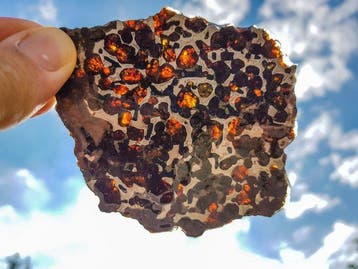Pallasiet XL Sericho pallasite - Hoogte: 11.5 cm - Breedte: