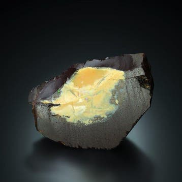 GEEN RESERVE. Prachtige Natura OPAL in VERSTEEND HOUT uit, Verzamelen, Mineralen en Fossielen