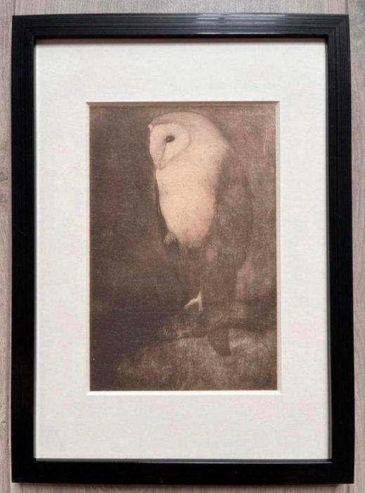 Jan Mankes (1889-1920) - Uil op Boomtak, Antiquités & Art, Antiquités | Autres Antiquités