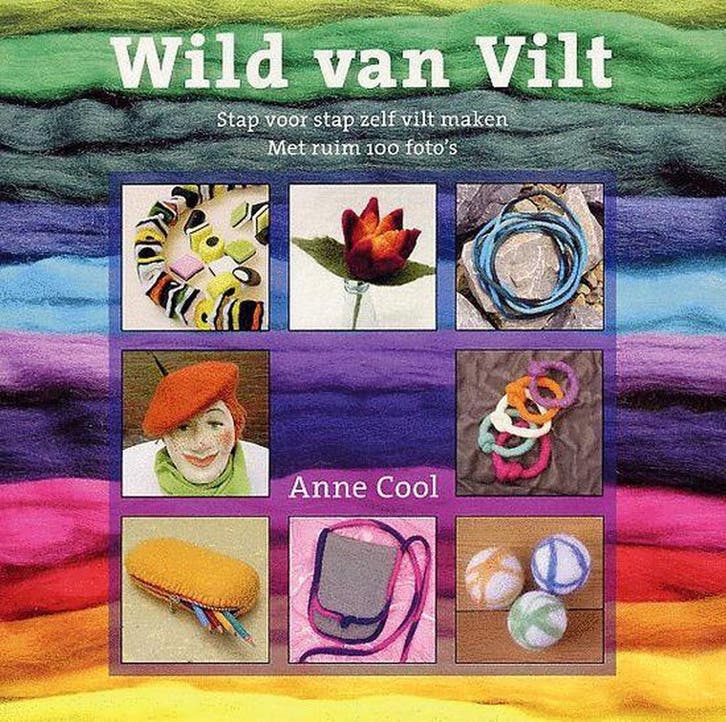 Wild Van Vilt 9789090200088 A. Cool, Boeken, Hobby en Vrije tijd, Gelezen, Verzenden