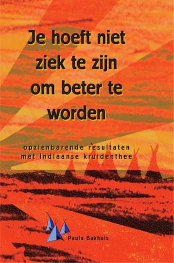 Je hoeft niet ziek te zijn om beter te worden 9789080394810, Verzenden, Gelezen, P. Bakhuis