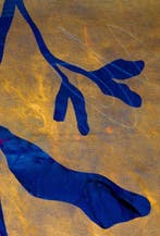 Lupo - Urban Jungle 401 - Certificated - Real Gold - XXL