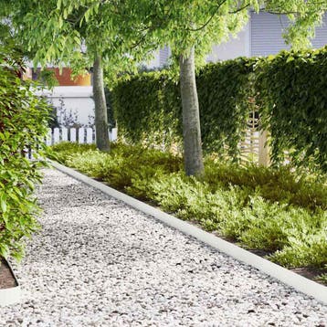 vidaXL Grasafscherming 20 st 100 x 0,05 x 15 cm Koud Gewalst, Verzenden