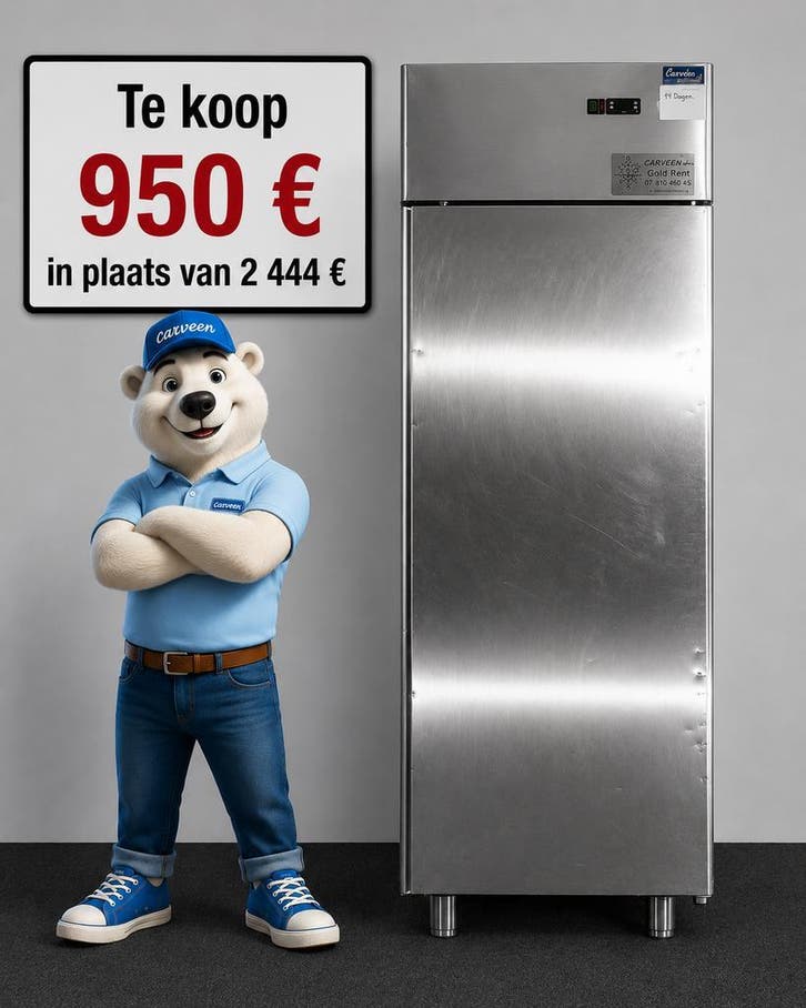 Koelkast horeca professioneel tweedehands, Elektronische apparatuur, Koelkasten en IJskasten, 200 liter of meer, Gebruikt, 160 cm of meer