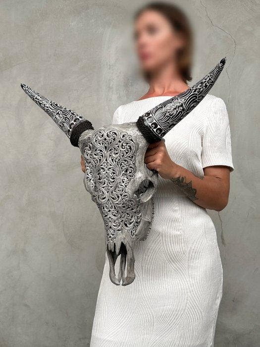 Geen minimumprijs - Grijze koe-schedel met Boheemse gesneden, Antiquités & Art, Art | Objets design