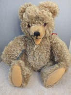 German Manufacturer - Probably Hermann - Teddybeer - Jointed