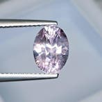 Zonder minimumprijs Roze Saffier - 3.22 ct - International, Nieuw