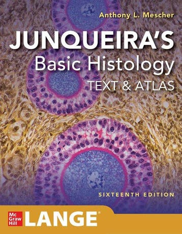Junqueiras Basic Histology 9781260462982 AnthonyL Mescher, Boeken, Verzenden, Zo goed als nieuw, AnthonyL Mescher