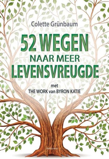 52 wegen naar meer levensvreugde 9789088401176, Verzenden, Colette Grünbaum