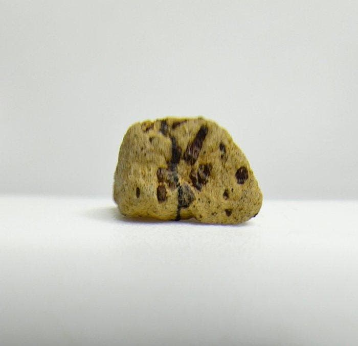 Mars-meteoriet, Tarkint 001. (olivine-phyric shergottiet). -, Verzamelen, Mineralen en Fossielen