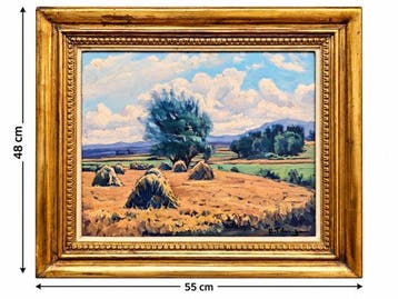 Ricardo Tárrega Viladoms (1904-1999) - NO RESERVE - Fields
