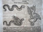 Gessner, Conrad - Schlangenbuch… Dragons Snakes Reptiles