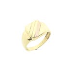 Bicolor gouden zegelring, Handtassen en Accessoires, Ringen, Gebruikt, Overige kleuren, 20 of groter, Heer