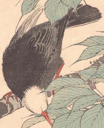 Cherries and Chinese Bulbul (or Bird in a Cherry Tree) -, Antiek en Kunst