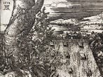 Albrecht Dürer (1471-1528), after - The Large Cannon, Antiek en Kunst