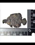 Asie. Fish Money with beautiful patina of age 15-17 th