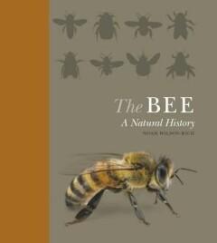 The Bee 9781782401070 Noah Wilson-Rich, Verzenden, Zo goed als nieuw, Noah Wilson-Rich
