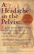 Headache in the Pelvis 9780972775557 David Wise, Verzenden, David Wise