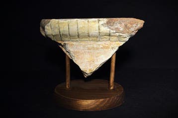 Oud-Romeins Terracotta Fragment van een muur met stucwerk