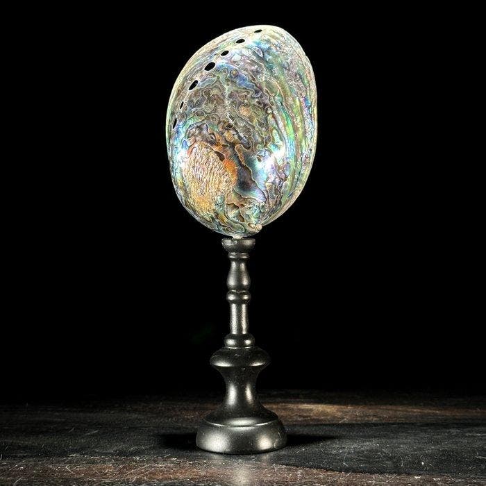 Decoratief ornament - NO RESERVE PRICE - A pair of beautiful, Antiek en Kunst, Kunst | Designobjecten