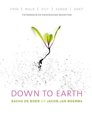 Down to earth 9789000332816 Sacha de Boer, Verzenden, Sacha de Boer