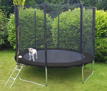 Grote Trampoline 120kg | Laatste Stuks!, Ophalen of Verzenden
