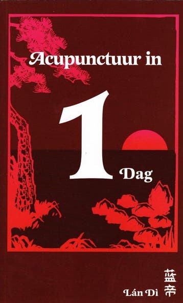 Acupunctuur in een dag - Peter C. van Kervel - 9789079212019, Verzenden