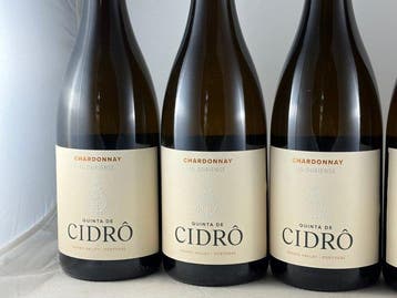 2025 Quinta de Cidrô, Chardonnay Branco - Douro, Duriense -, Verzamelen, Nieuw