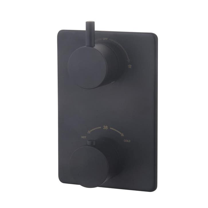 Douchekraan Wiesbaden Caral thermostatisch afbouwdeel 2-weg, Bricolage & Construction, Sanitaire, Enlèvement ou Envoi