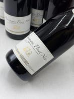 2023 Alain Geoffroy Bourgogne Pinot Noir - Bourgogne - 6, Collections, Vins