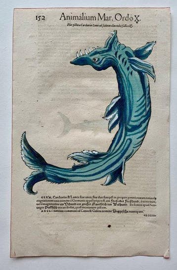 Conrad Gesner - Historia Animalium - 1558