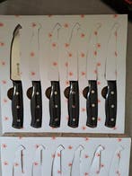 Laguiole - Tafelmessenset (12) - Staal, Plastic