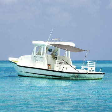 vidaXL Schaduwdoekset T-top 174x205x(115-194) cm, Watersport en Boten, Verzenden, Nieuw