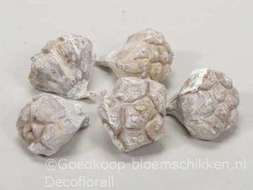 Kiyafruit White Wash Noten 300 gram