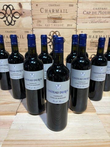 2019 Château du Roc - Castillon Côtes de Bordeaux - 12 Fles, Nieuw