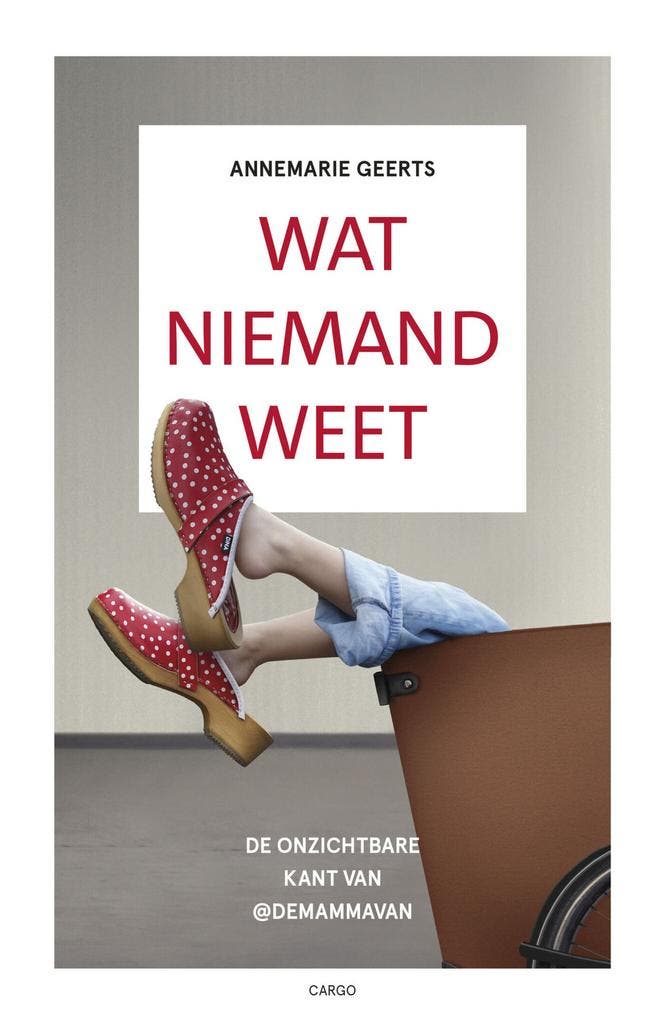 Wat niemand weet (9789403138138, Annemarie Geerts), Livres, Psychologie, Envoi